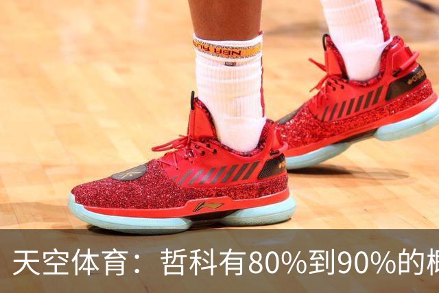 天空体育：哲科有80%到90%的概率和沙尔克续约