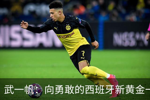 武一帆：向勇敢的西班牙新黄金一代致敬