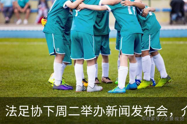 法足协下周二举办新闻发布会，介绍法国队下一任主教练