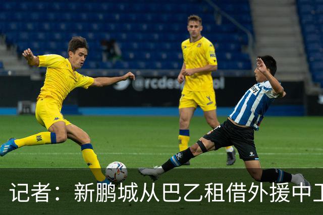 记者：新鹏城从巴乙租借外援中卫加布里埃尔，还在接触国内后腰