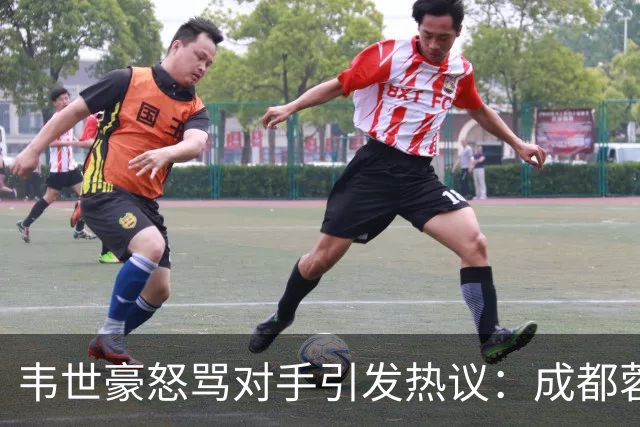 韦世豪怒骂对手引发热议：成都蓉城足协杯出局输球又输人